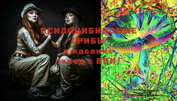 гидропоника Алексин